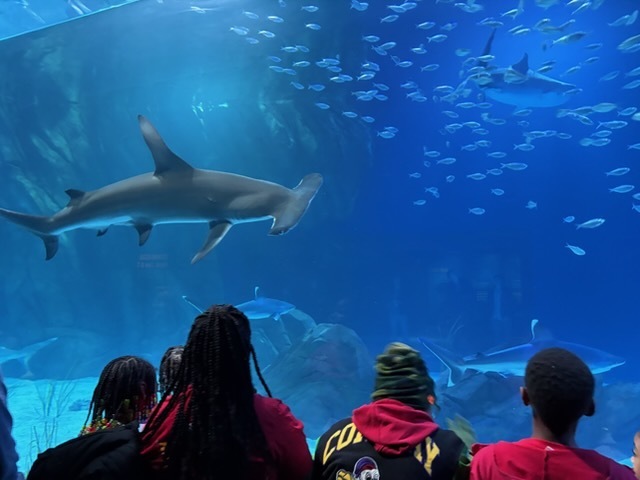 educational experience