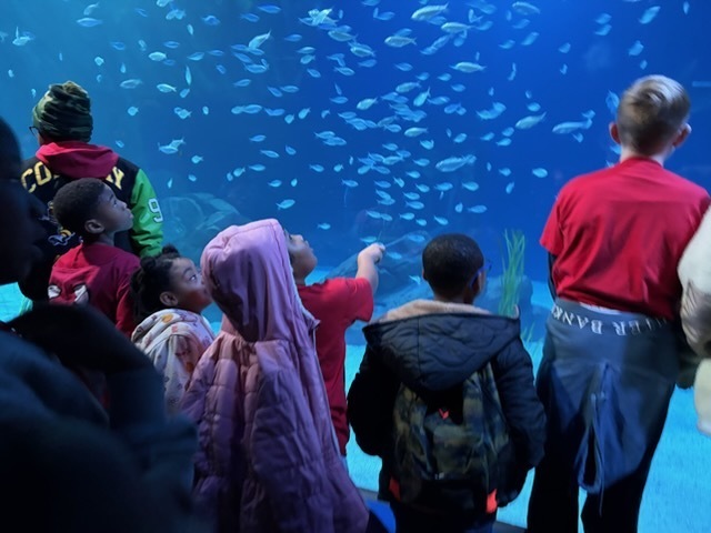 educational experience