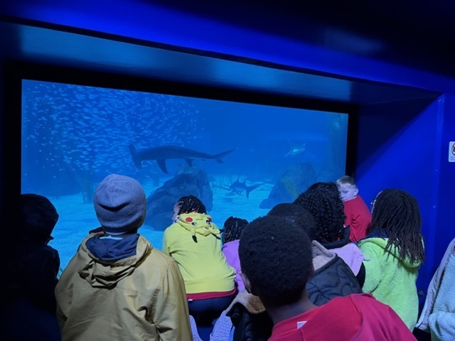 educational experience