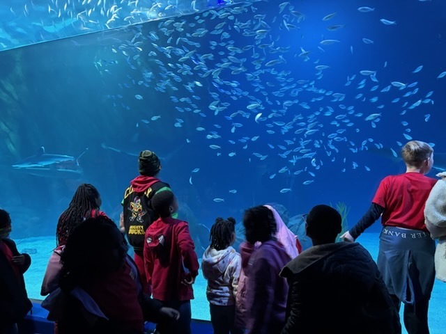 educational experience