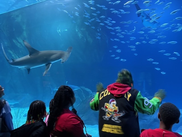 educational experience