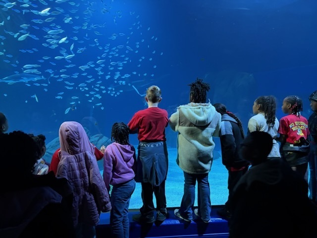 educational experience