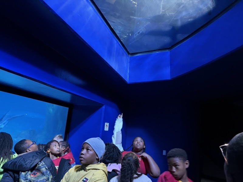 educational experience