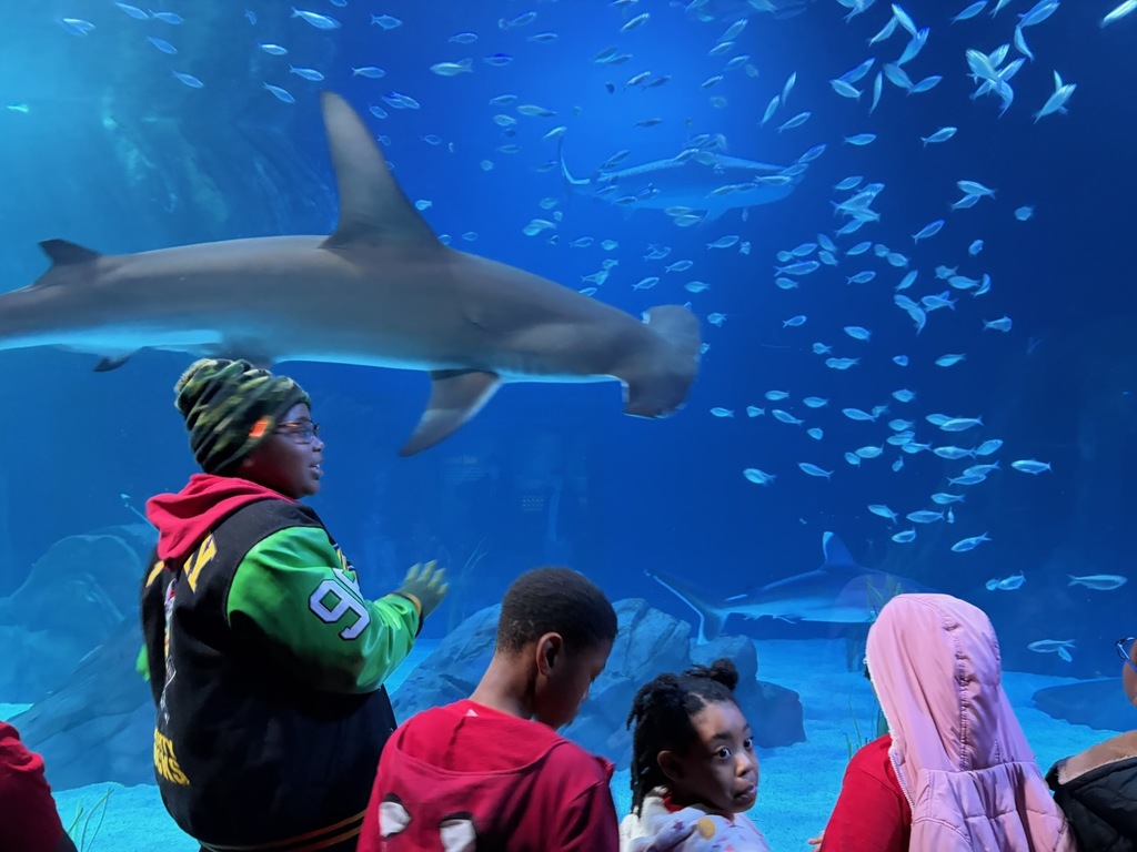 educational experience