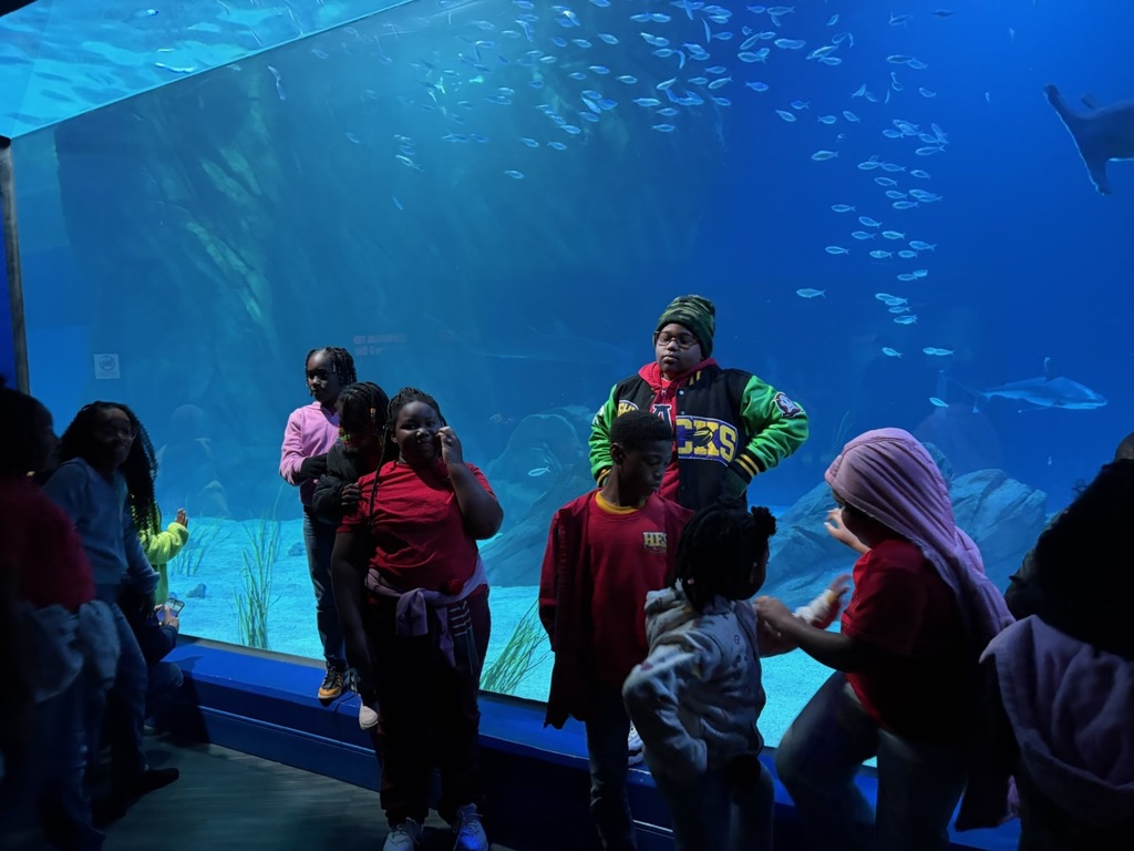 educational experience