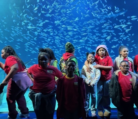 educational experience