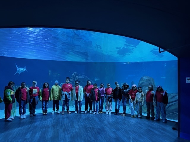 educational experience