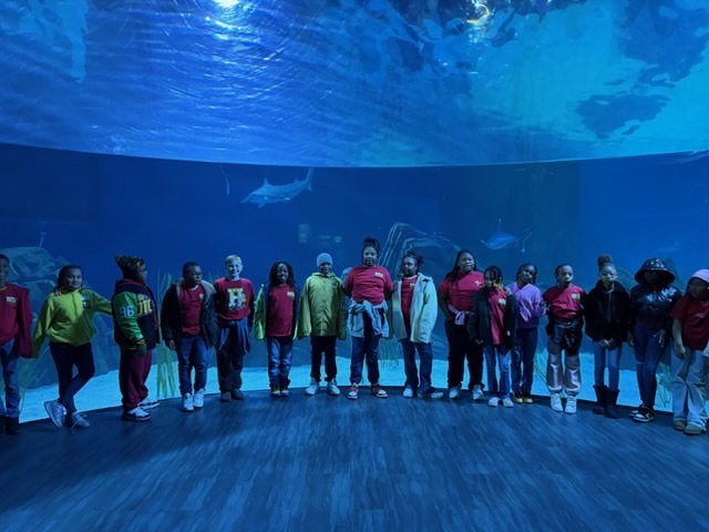 educational experience