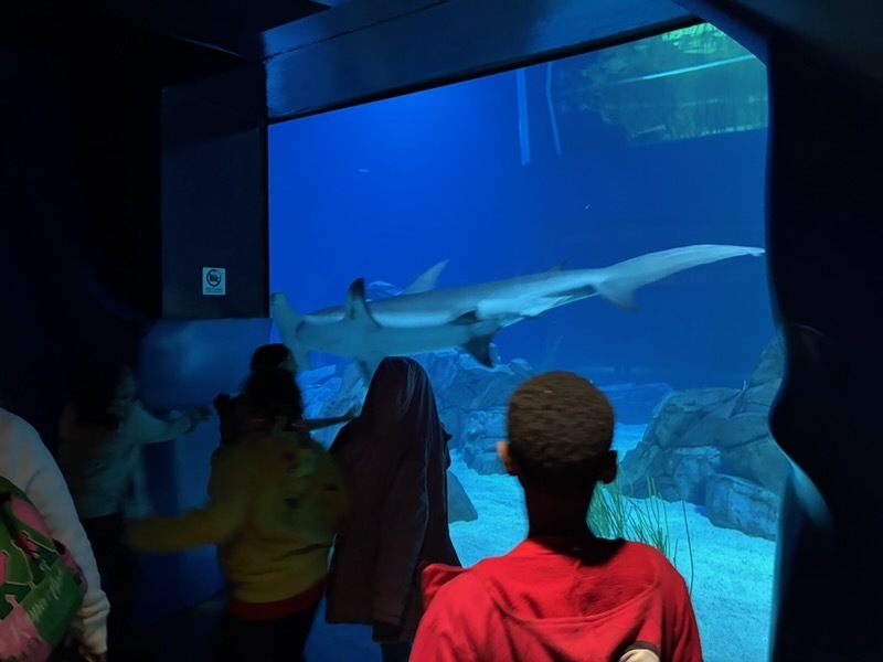 educational experience