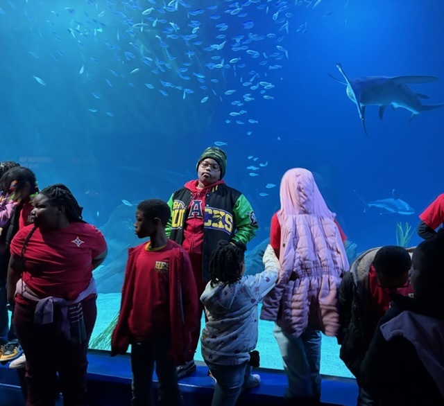 educational experience