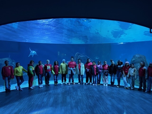 educational experience