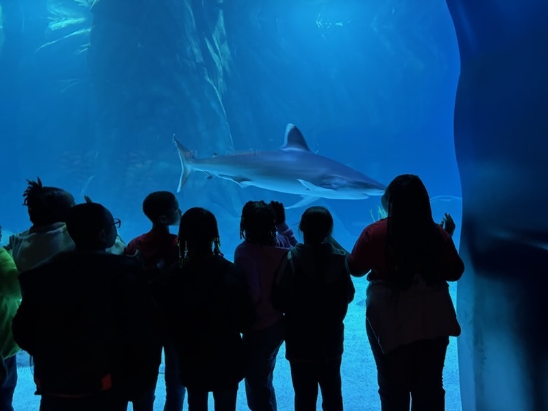 educational experience