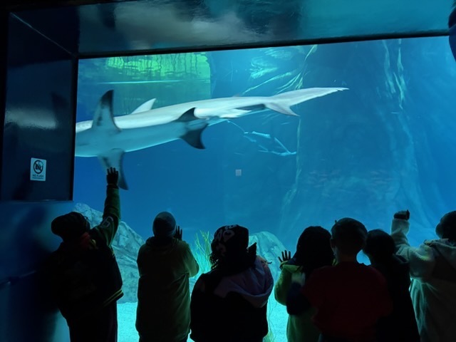 educational experience