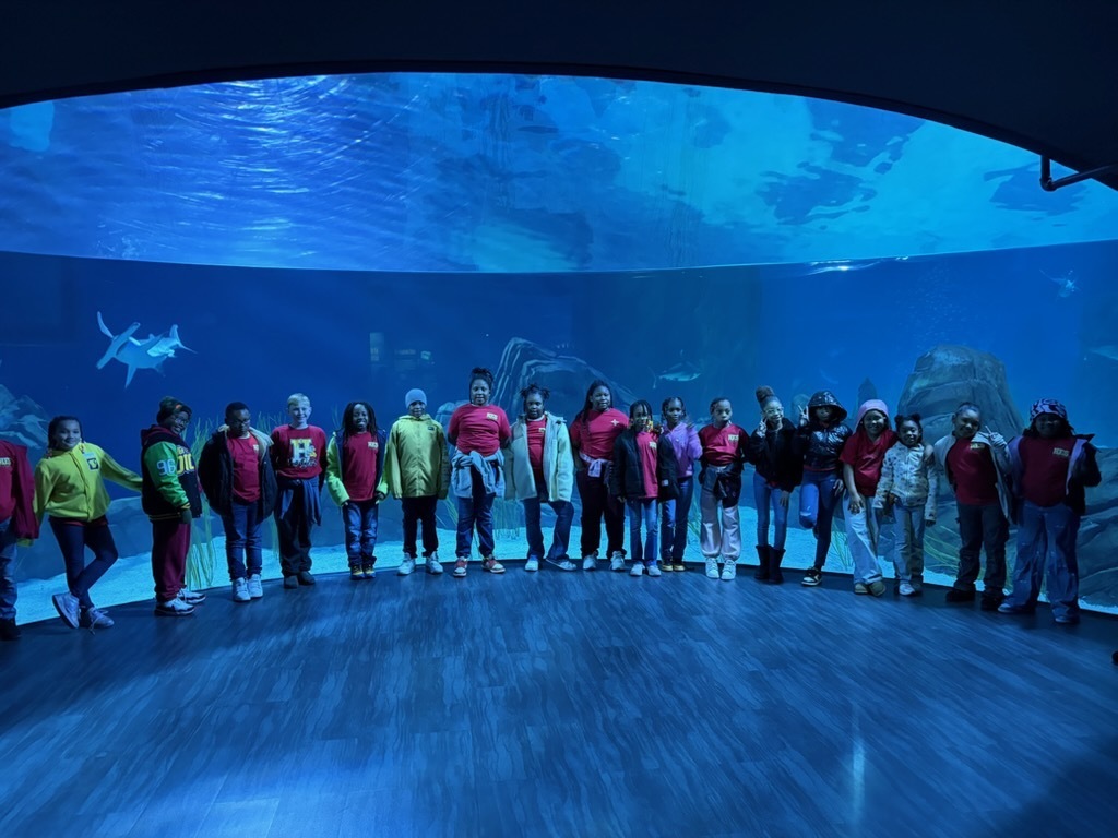 educational experience