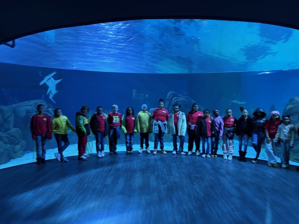 educational experience