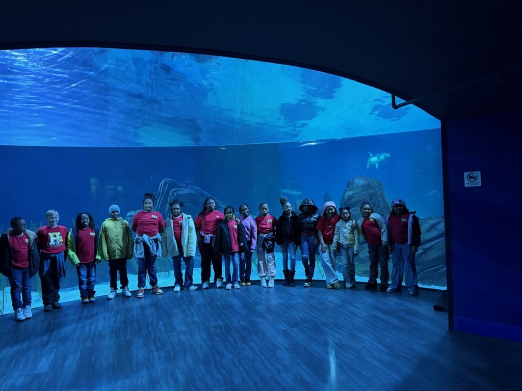 educational experience