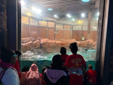 educational experience