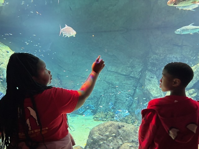 educational experience