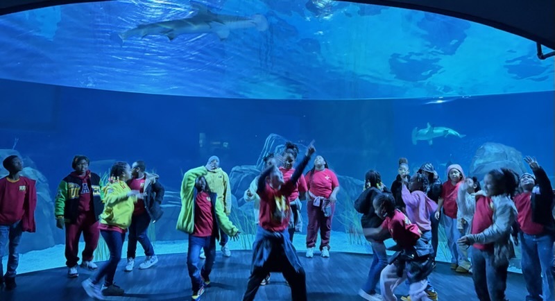 educational experience