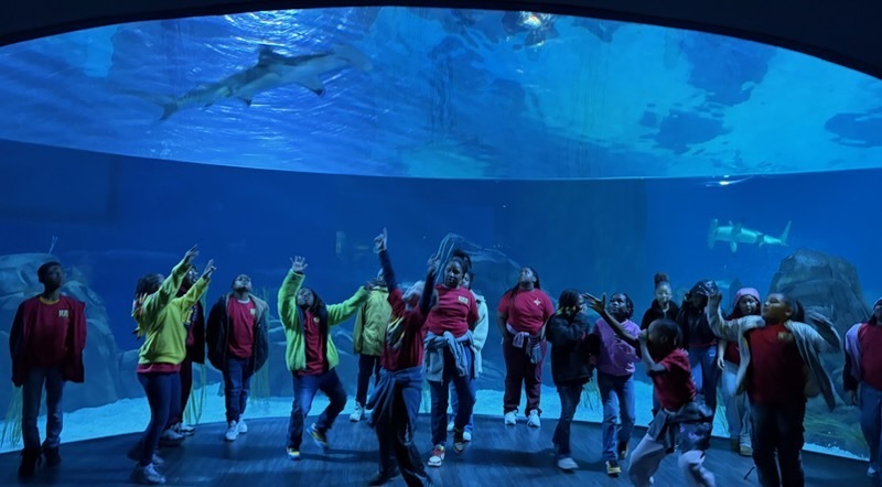 educational experience