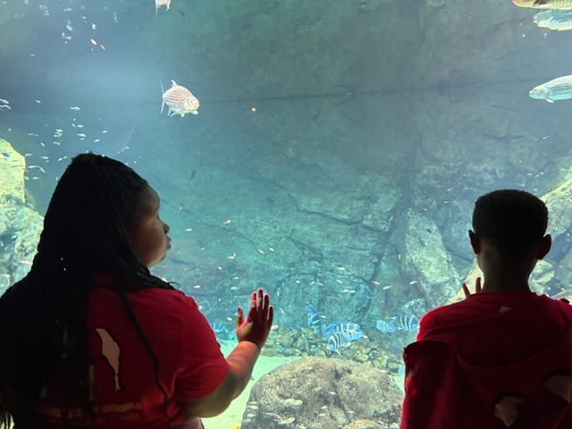 educational experience