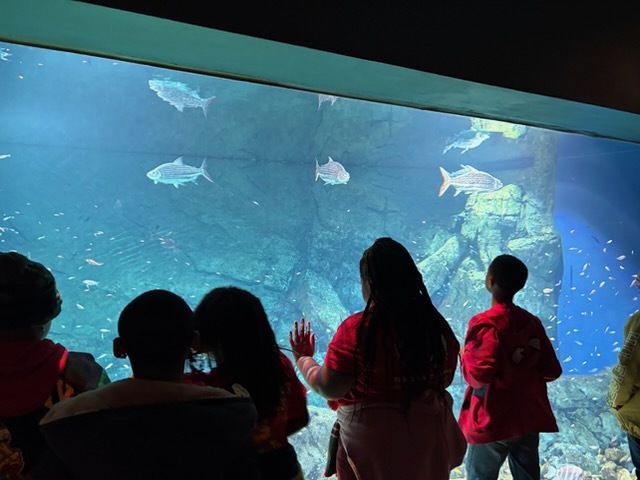 educational experience