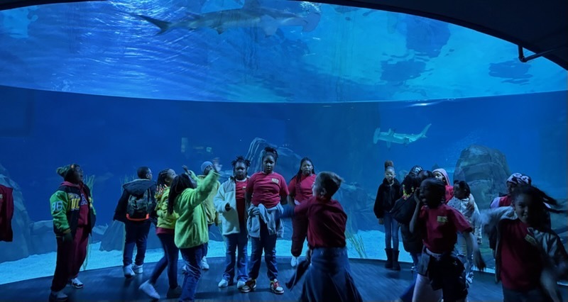 educational experience