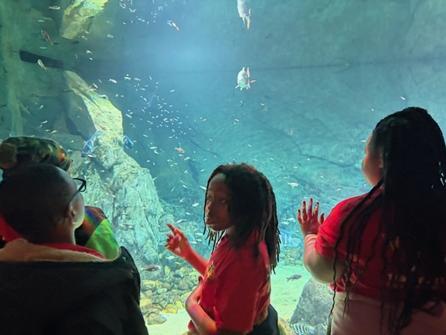 educational experience