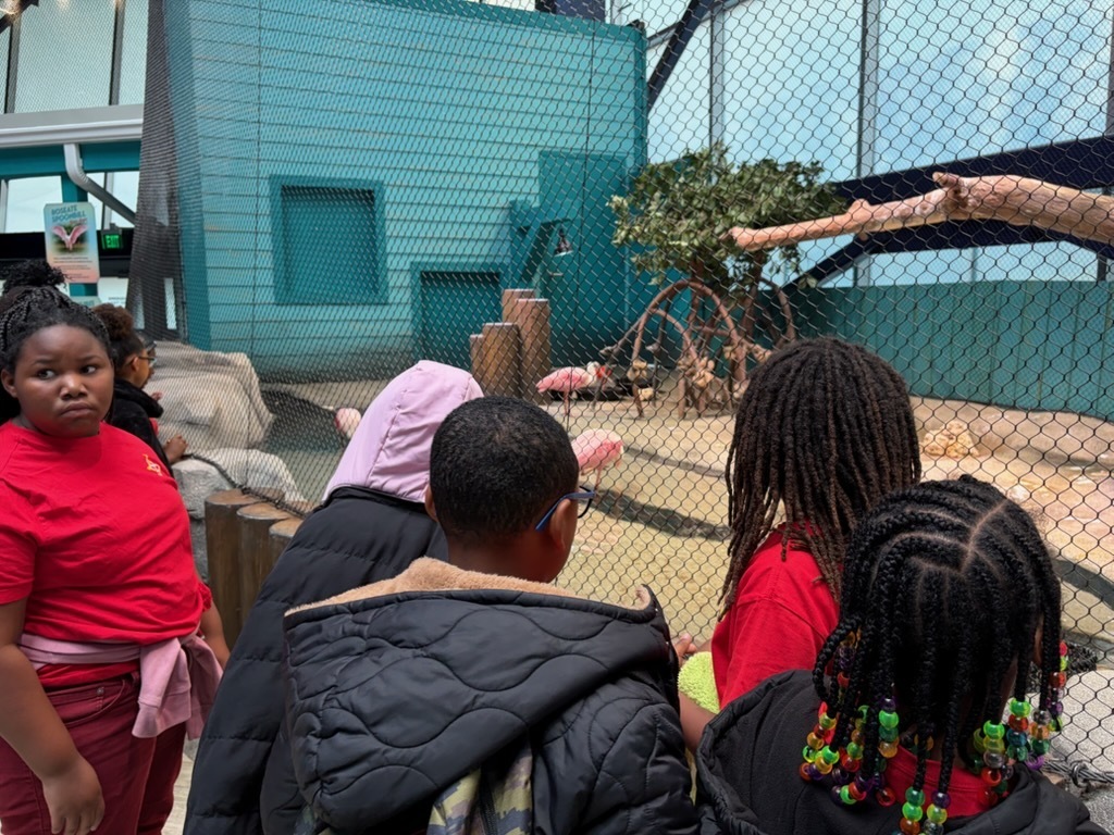 educational experience