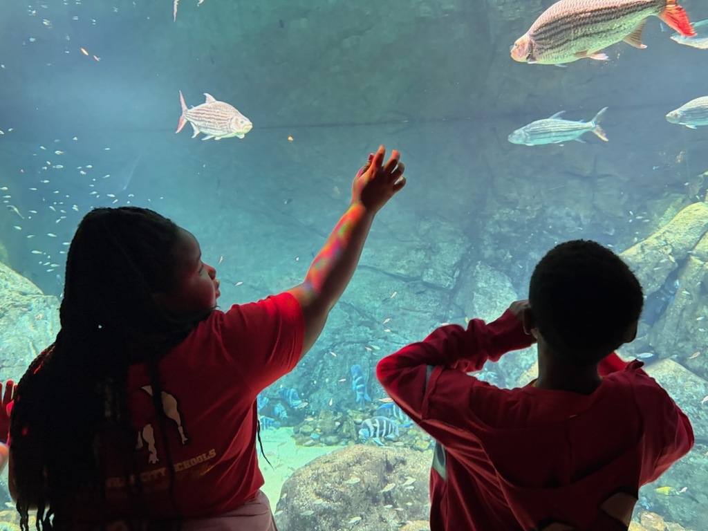 educational experience