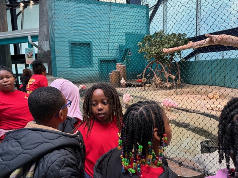 educational experience