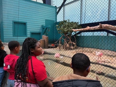 educational experience