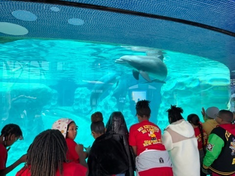 educational experience