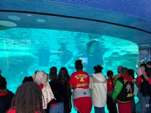 educational experience