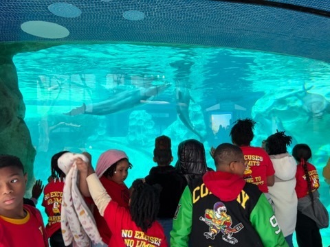 educational experience