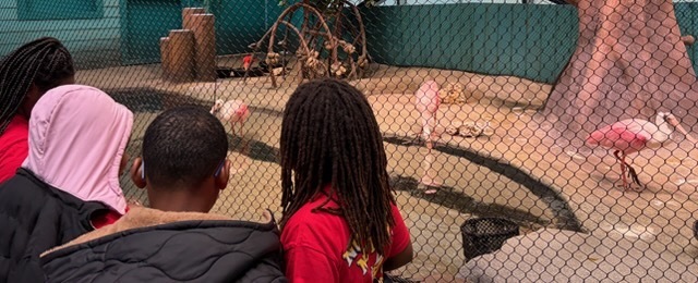 educational experience