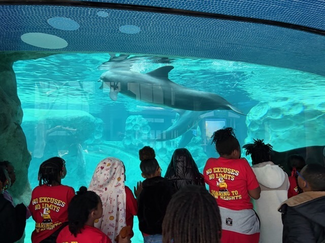 educational experience