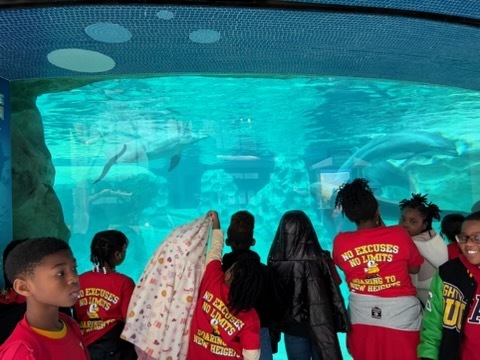 educational experience