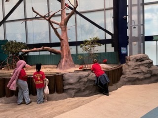 educational experience