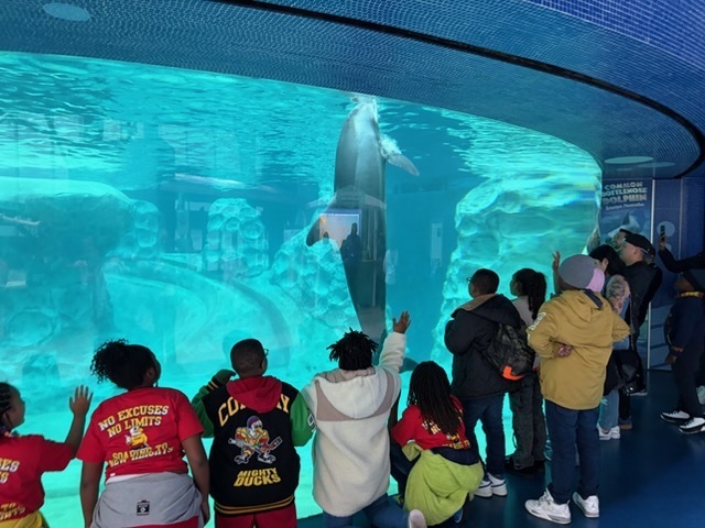 educational experience