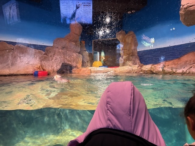 educational experience