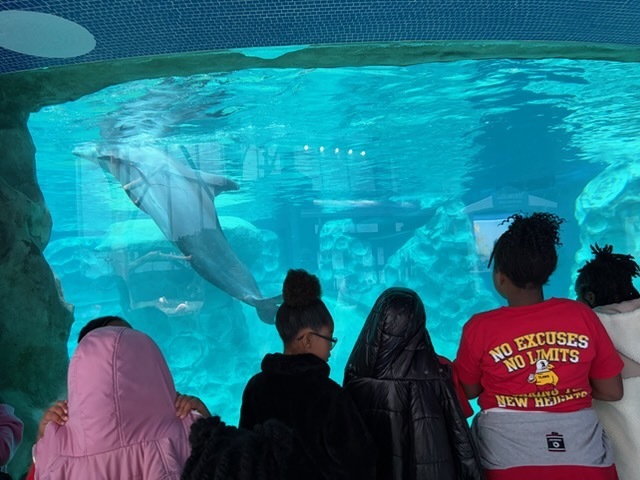 educational experience