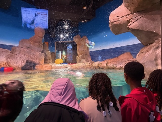 educational experience