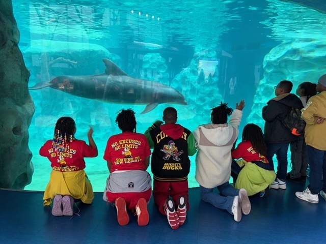 educational experience