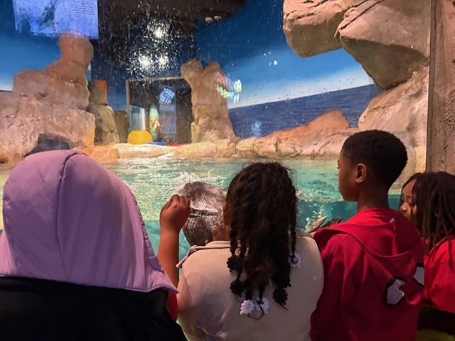 educational experience