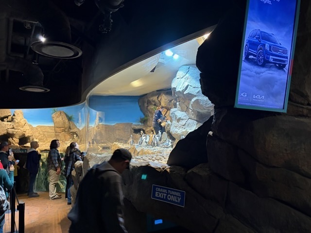 educational experience