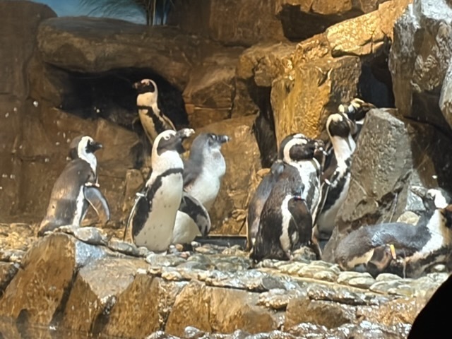 educational experience