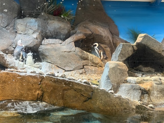 educational experience