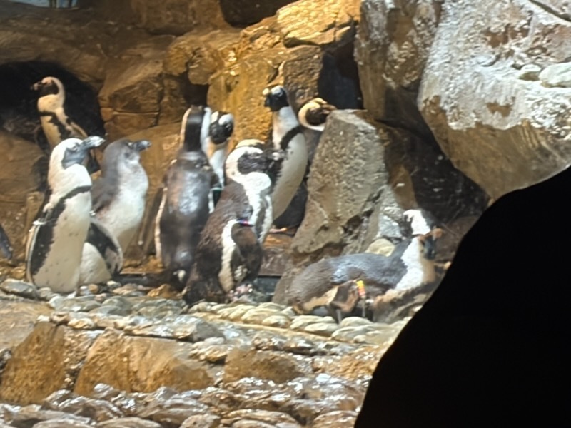 educational experience