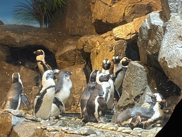 educational experience